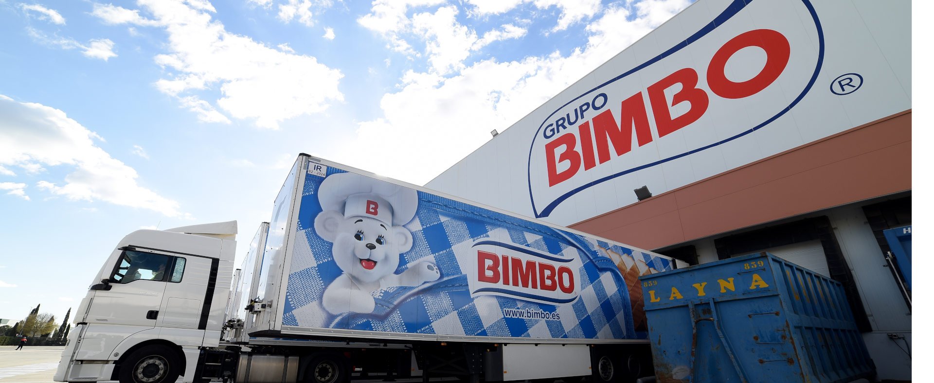 bimbo