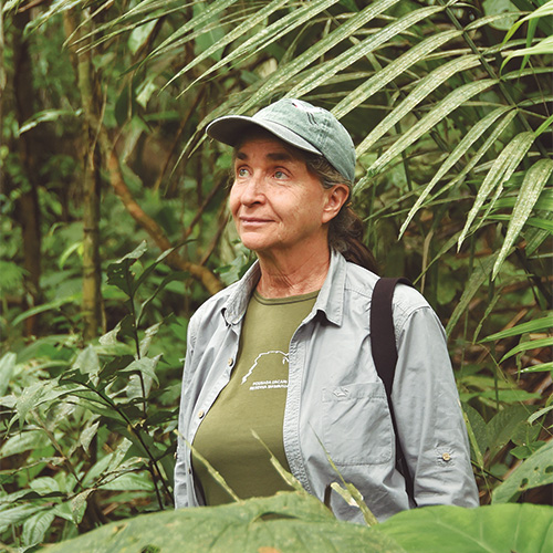 Quién es Julia Carabias: la científica mexicana que protege la selva y fue premiada en Japón.