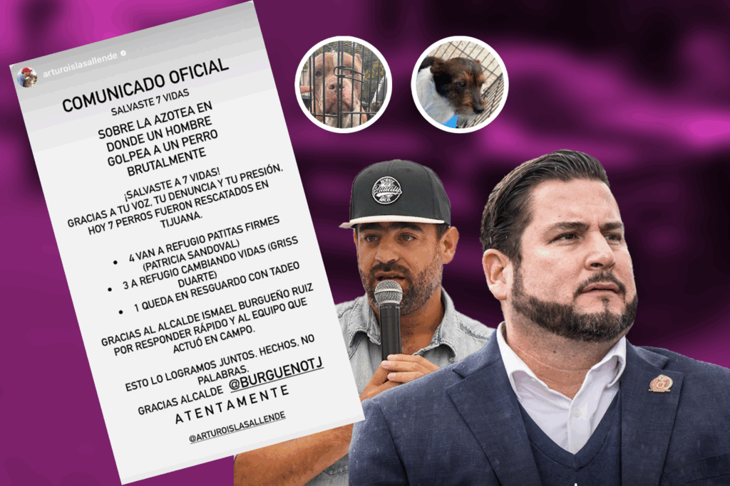 Sin título-7