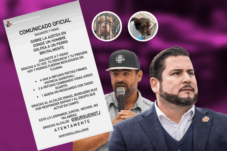 Sin título-7