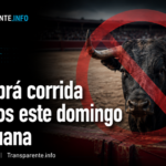 Rescatistas usan drones y perros para buscar a niño atrapado en Venezuela
