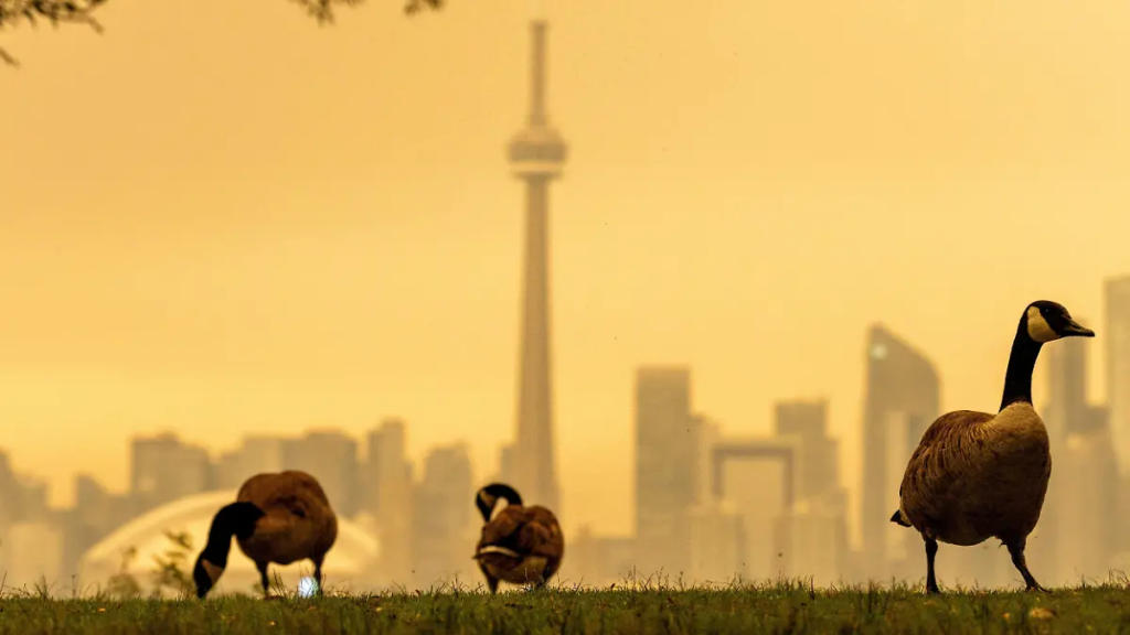 Humo de incendios en Canadá afecta a EU