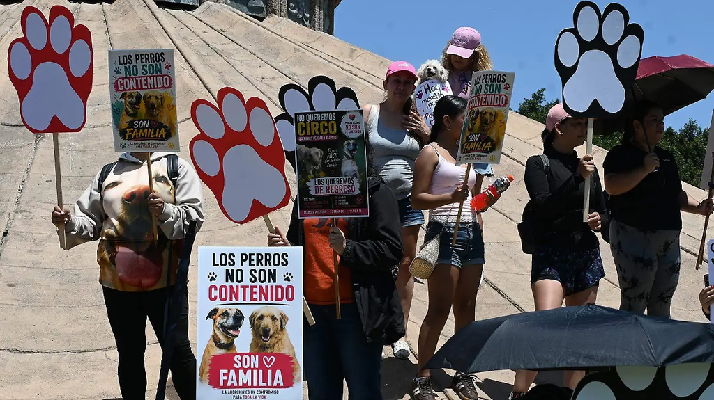 Impulsan cambios legales para combatir el maltrato animal.