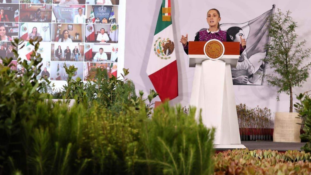 Sheinbaum anuncia Jornada Nacional de Reforestación el 9 de agosto en las 32 entidades