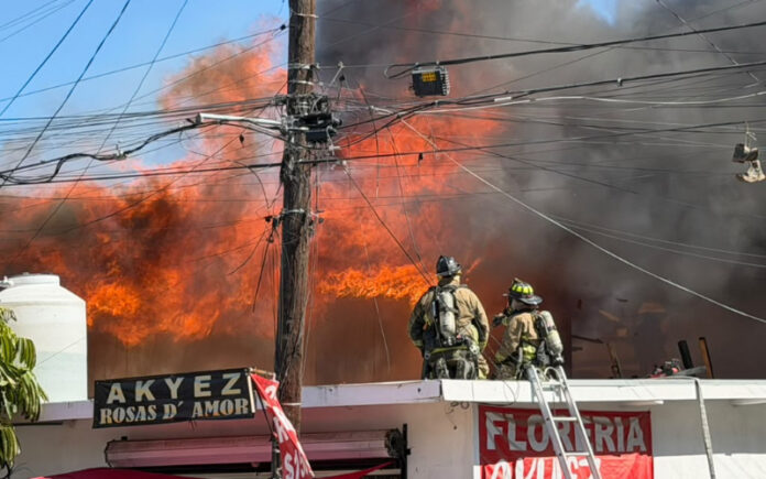 Incendio moviliza a Bomberos en Zona Centro de Tijuana